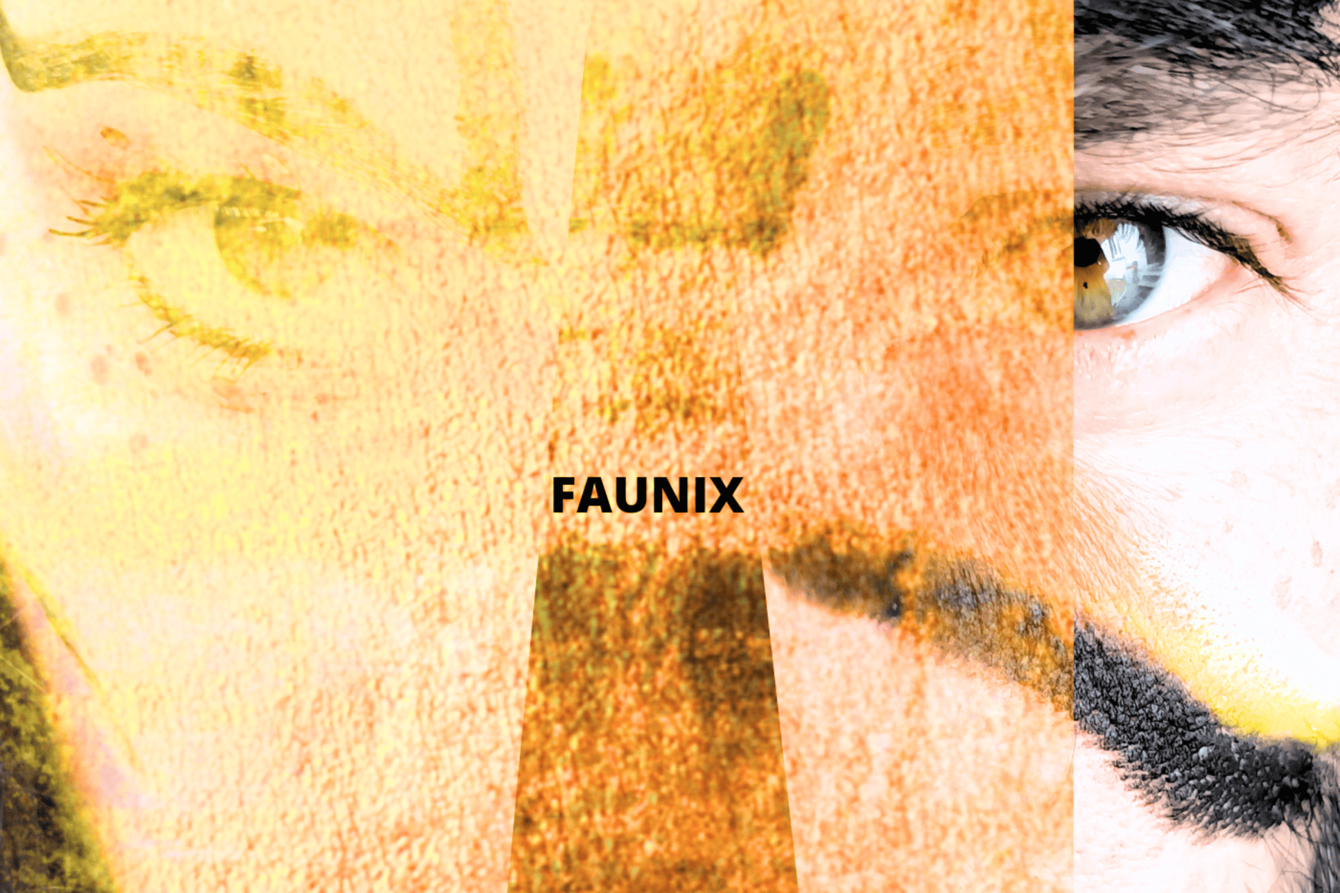 Lire la suite à propos de l’article Faunix : notre 1er album