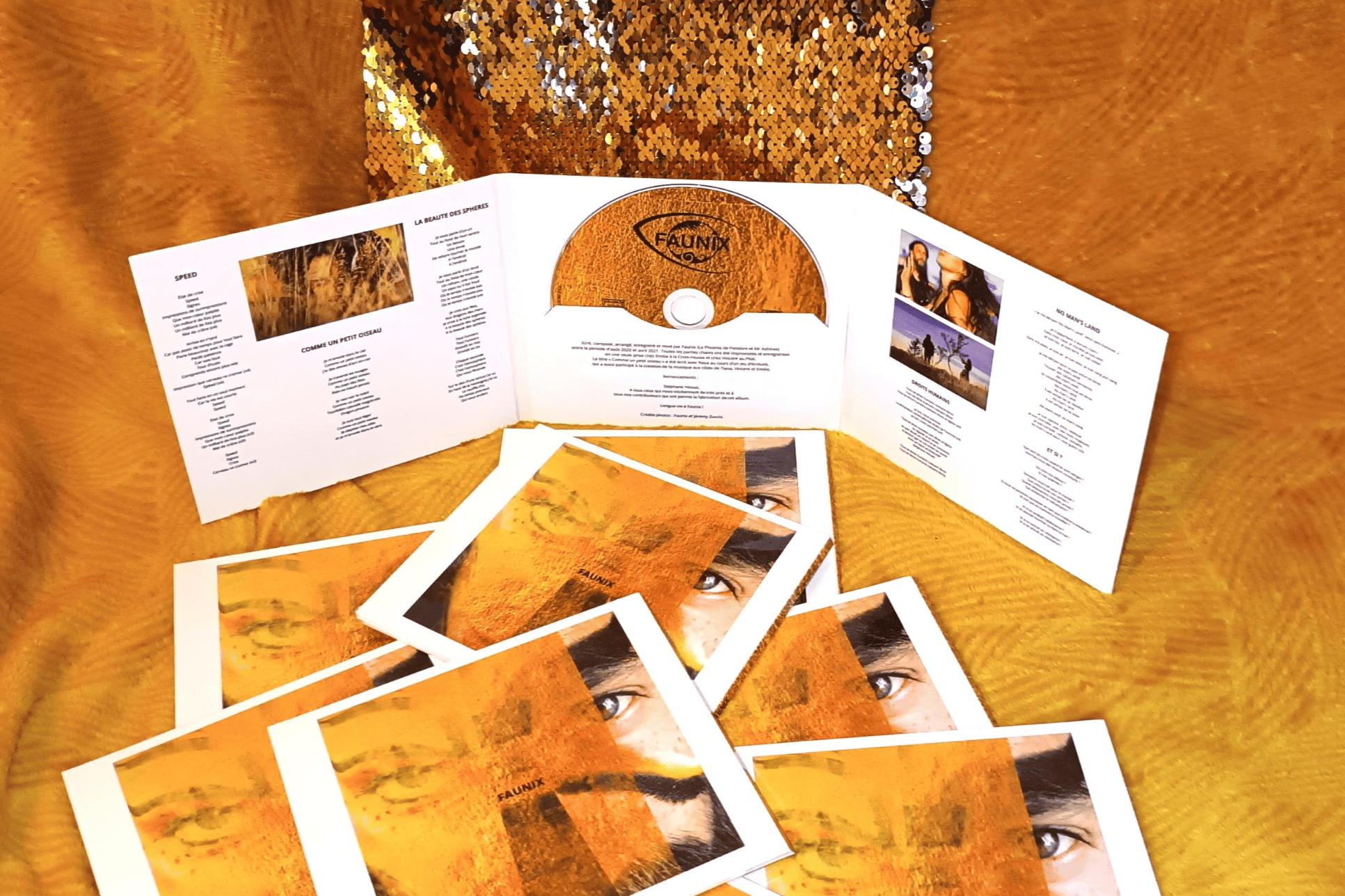 Pochettes d'album du premier album Faunix