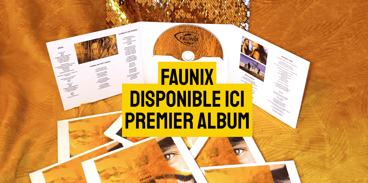 Photo du premier album de Faunix