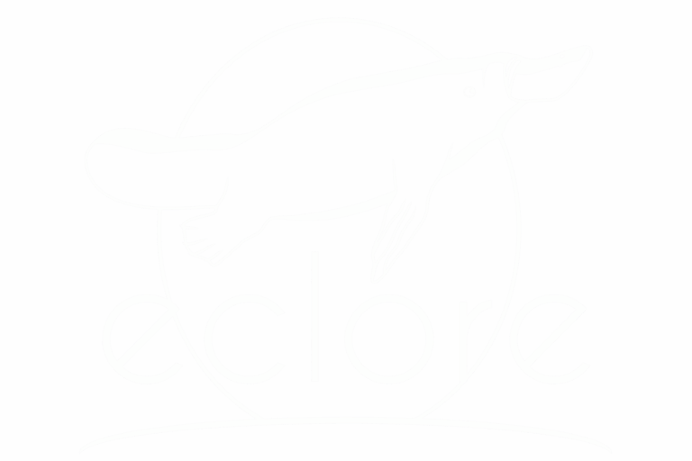 Logo Eclore blanc