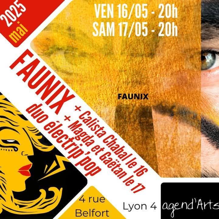 Affiche Faunix Agendarts